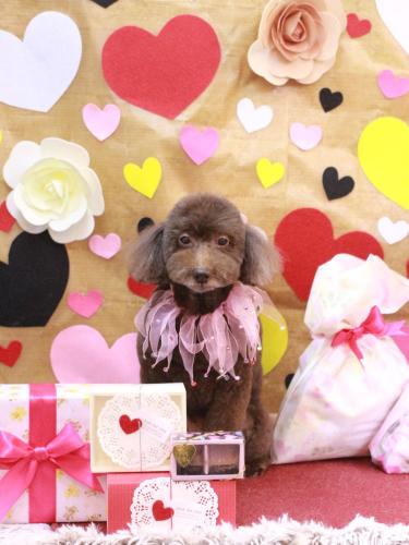 20230211杏ちゃん